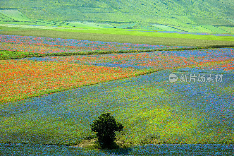 Piano Grande di Castelluccio，位于绿色山丘上的村庄，意大利